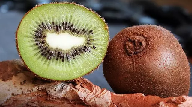 fruta kiwi pé de kiwi