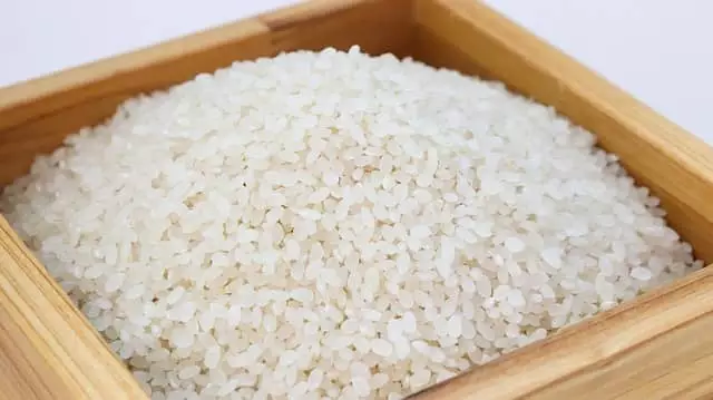 agua de arroz nas plantas beneficios e mais