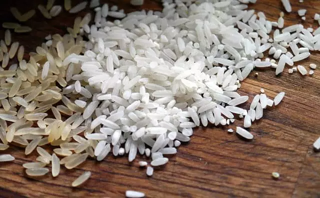 arroz adubo organico