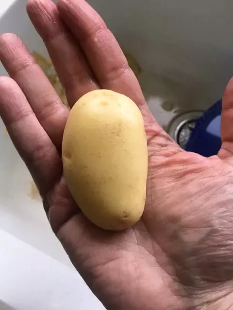 plantio de batatas e batatinhas em portugal