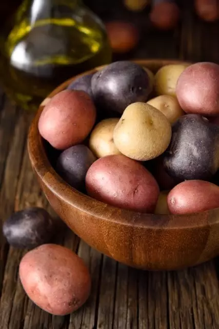 Como e Quando Semear Batatas em portugal