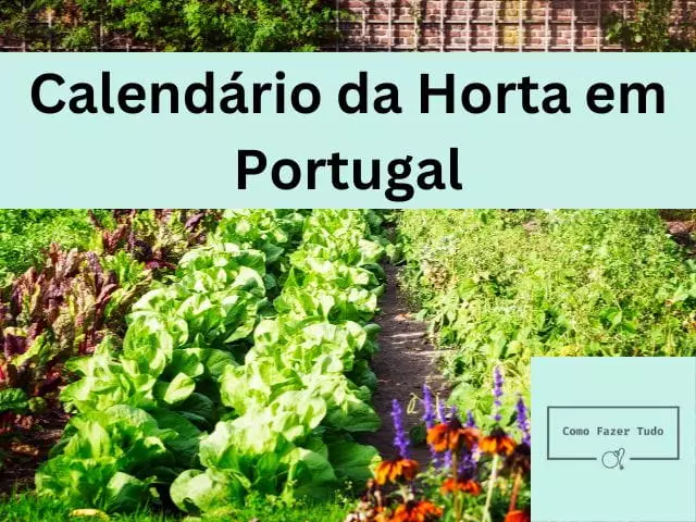 calendario da horta em portugal guia definitivo