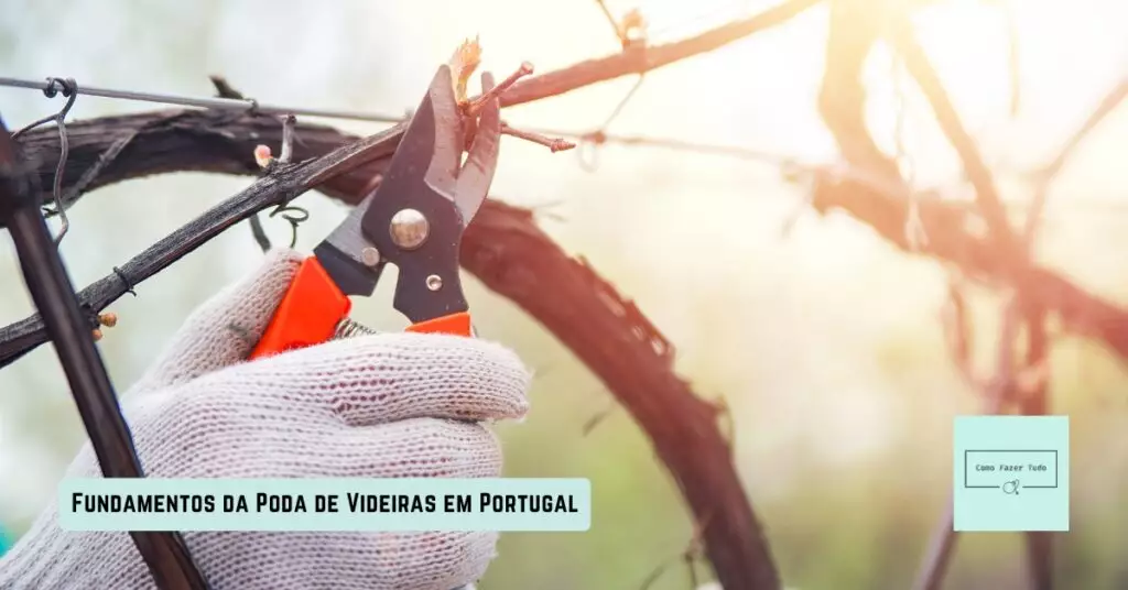 fundamentos da poda de videiras em portugal