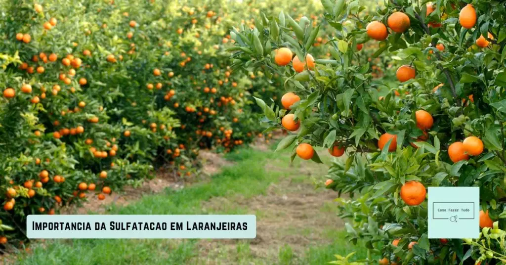 importância da sulfatação em laranjeiras